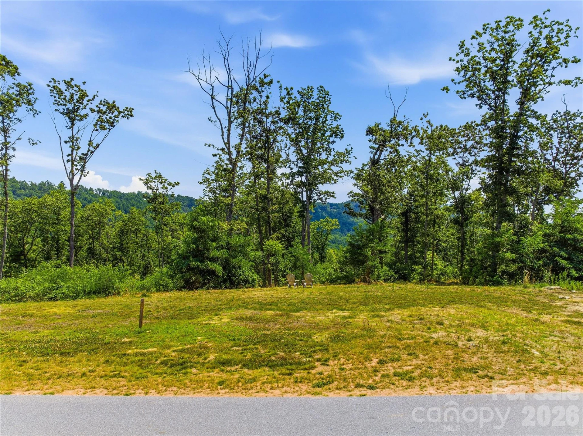 58 Mountain Grove Lane - Photo 4
