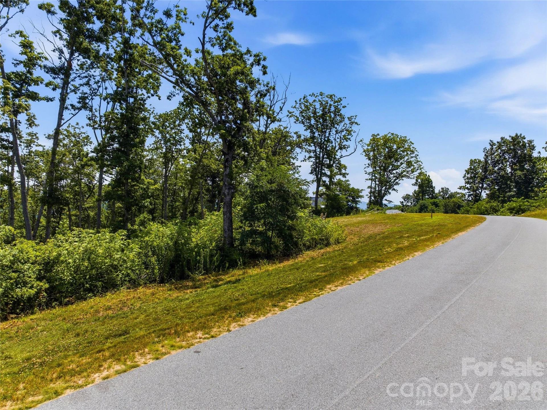 58 Mountain Grove Lane - Photo 6