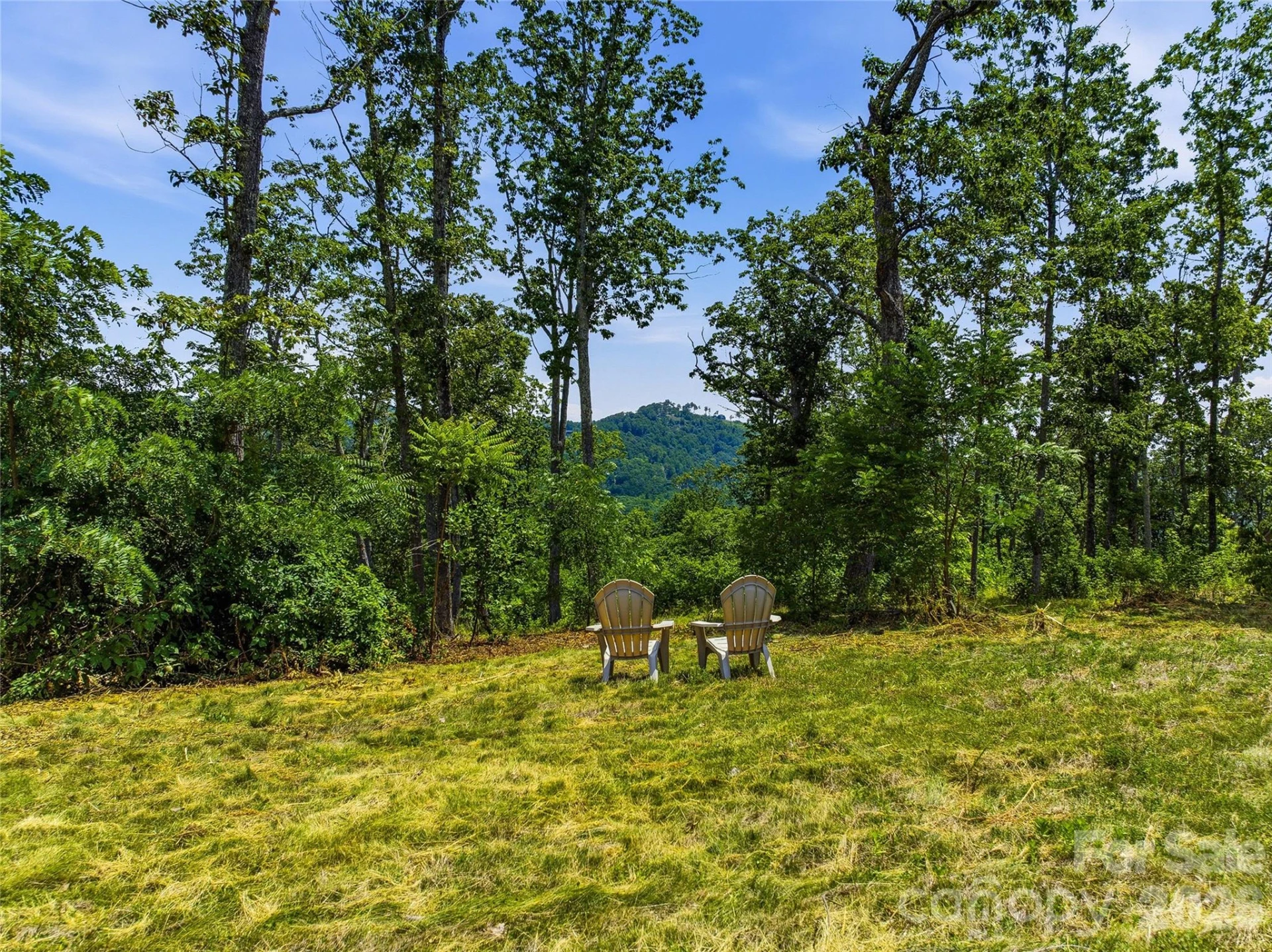 58 Mountain Grove Lane - Photo 7
