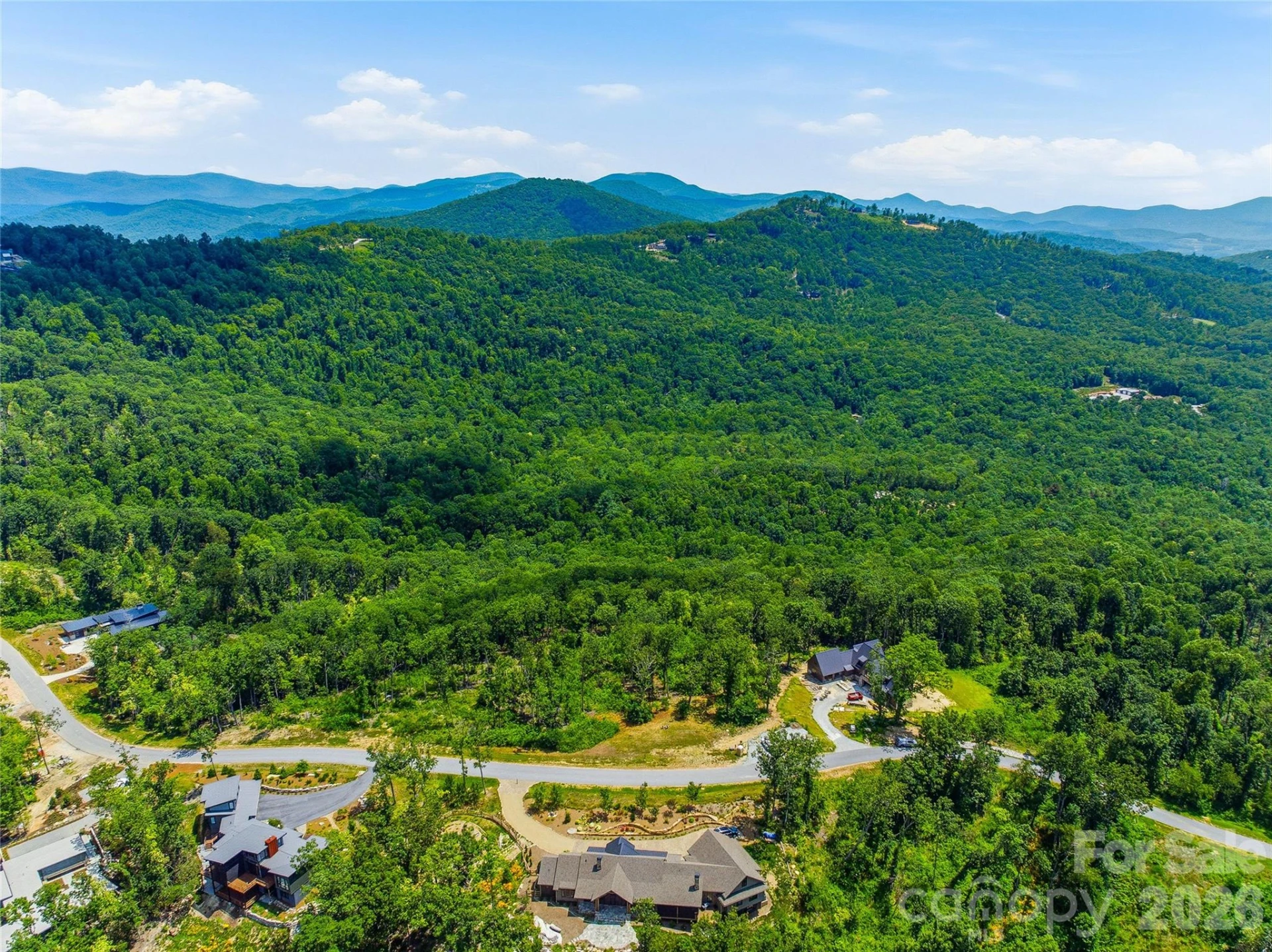 58 Mountain Grove Lane - Photo 8