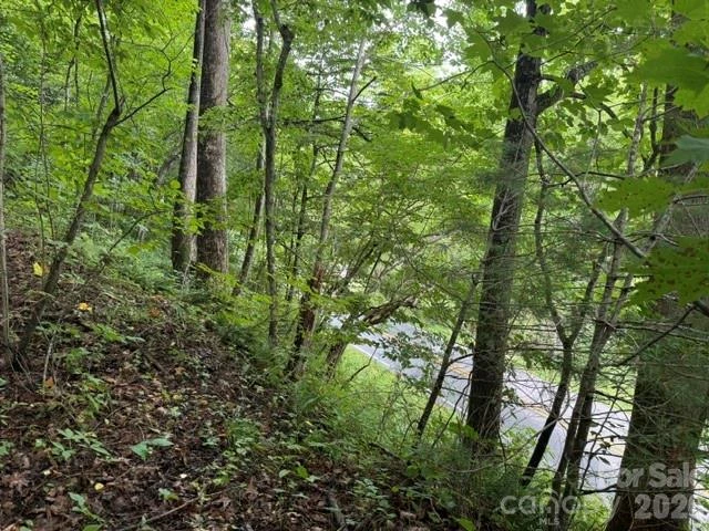 TBD Meadow Fork Road - Photo 11