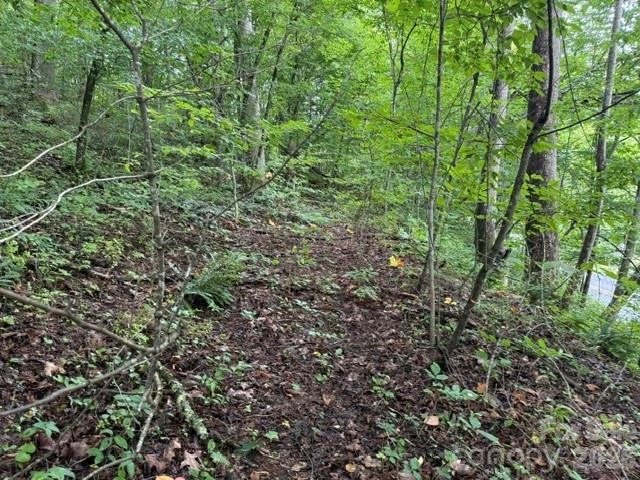 TBD Meadow Fork Road - Photo 12