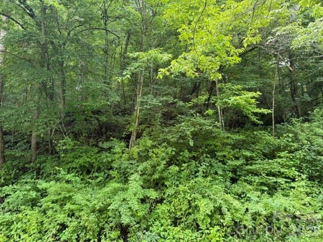 TBD Meadow Fork Road - Photo 15