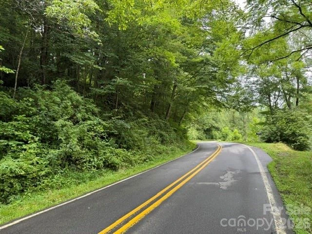 TBD Meadow Fork Road - Photo 16