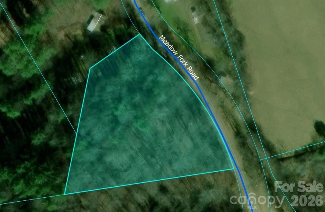 TBD Meadow Fork Road - Photo 19