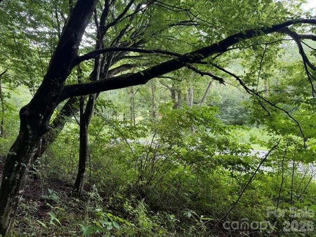 TBD Meadow Fork Road - Photo 3
