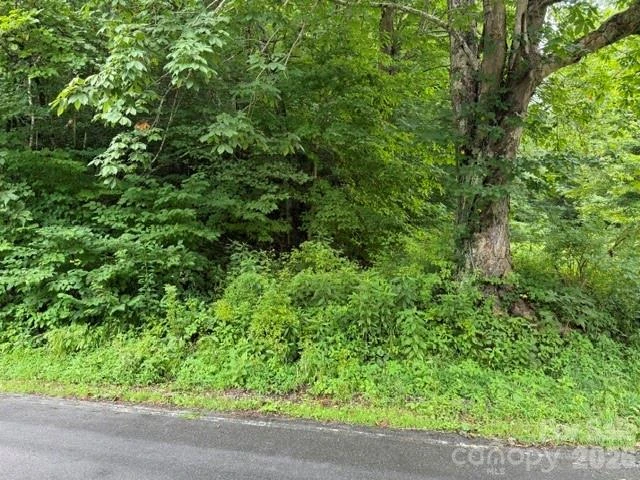 TBD Meadow Fork Road - Photo 4
