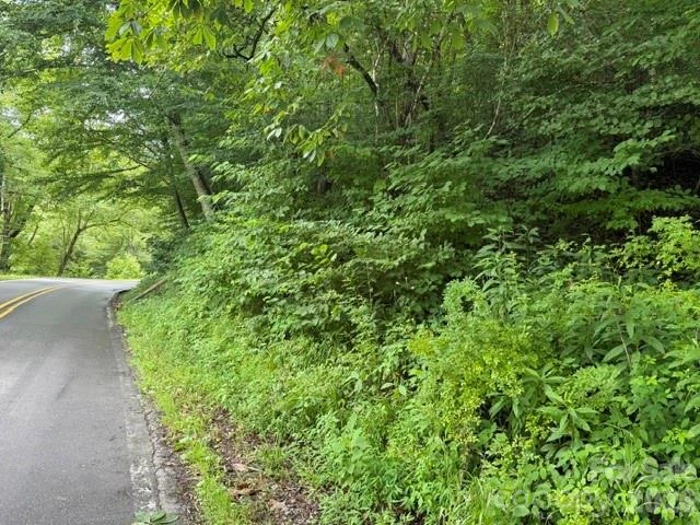 TBD Meadow Fork Road - Photo 5