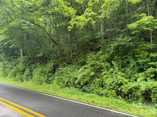 TBD Meadow Fork Road - Photo 6