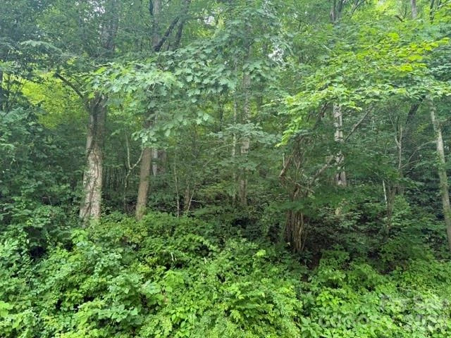 TBD Meadow Fork Road - Photo 7