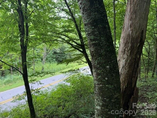 TBD Meadow Fork Road - Photo 8