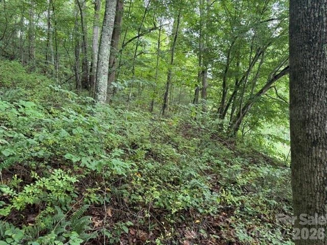 TBD Meadow Fork Road - Photo 9