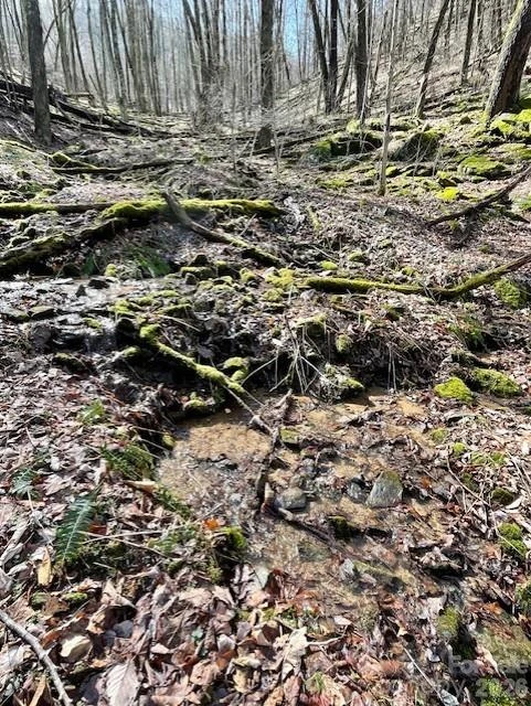 106 Avalon Gap Trail