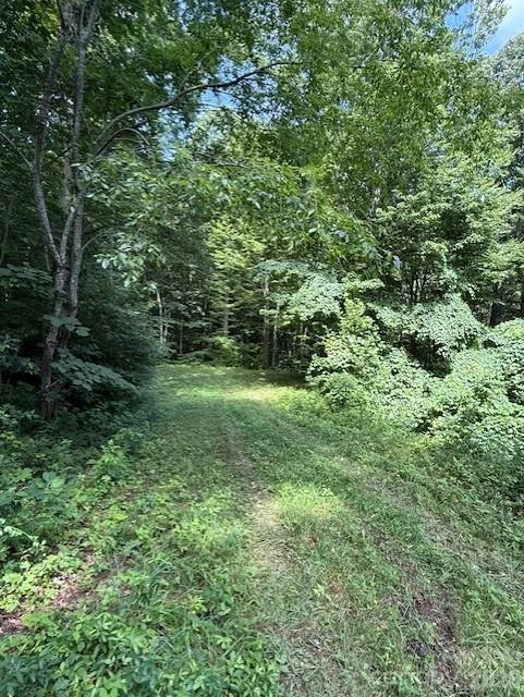 106 Avalon Gap Trail - Photo 2