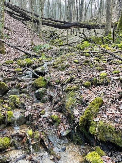 106 Avalon Gap Trail - Photo 11