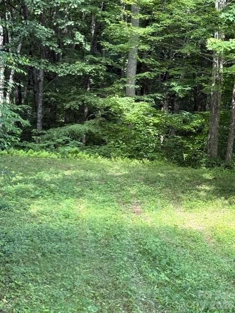 106 Avalon Gap Trail - Photo 3