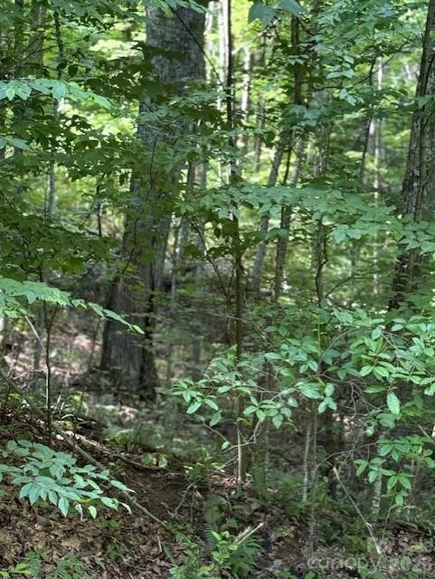 106 Avalon Gap Trail - Photo 4