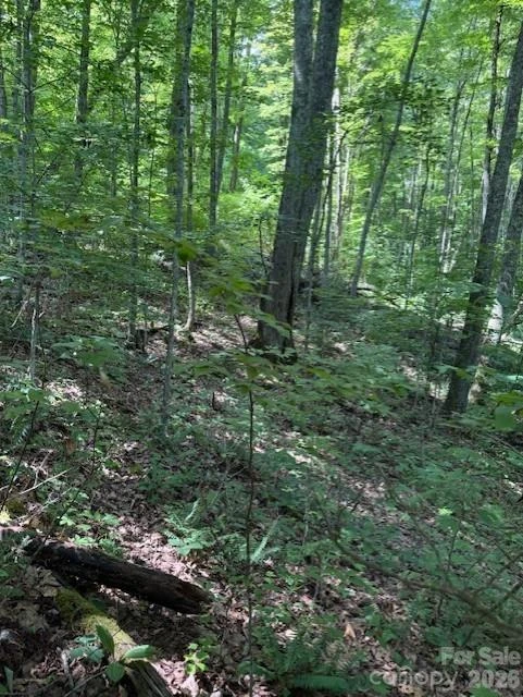 106 Avalon Gap Trail - Photo 5