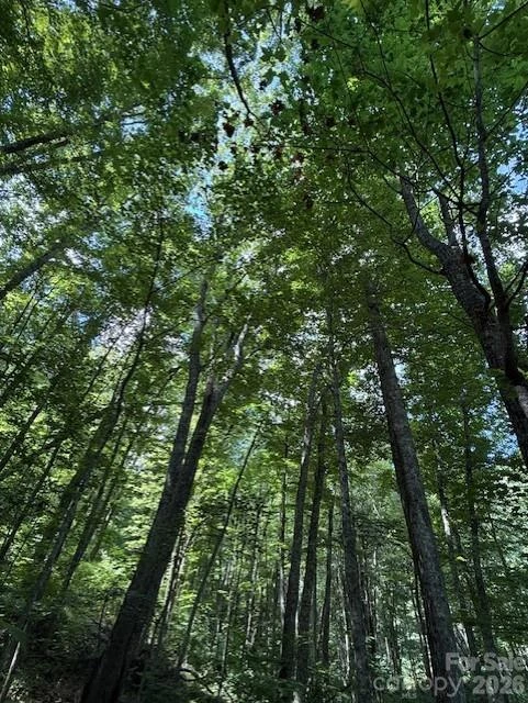 106 Avalon Gap Trail - Photo 6