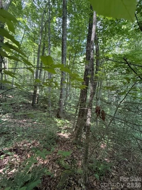 106 Avalon Gap Trail - Photo 7