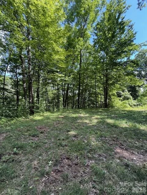 106 Avalon Gap Trail - Photo 8