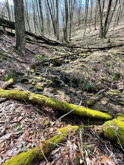 106 Avalon Gap Trail - Photo 9
