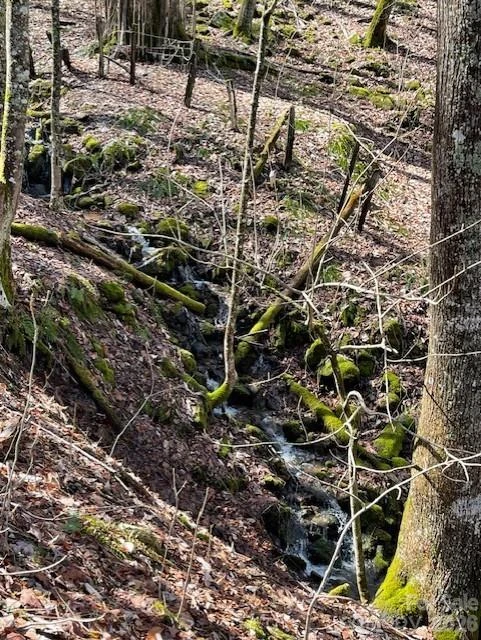 106 Avalon Gap Trail - Photo 10
