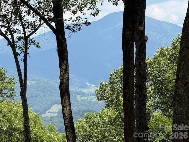 110 Cabin Ridge #110 - Photo 2