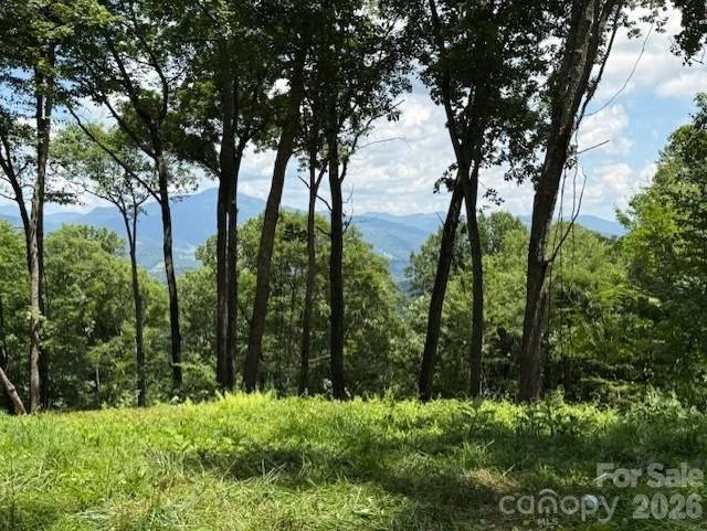 110 Cabin Ridge #110 - Photo 4