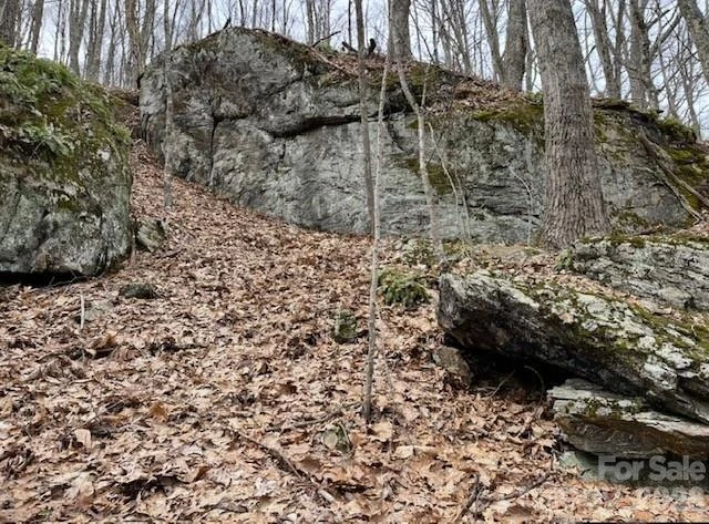 110 Cabin Ridge #110 - Photo 7