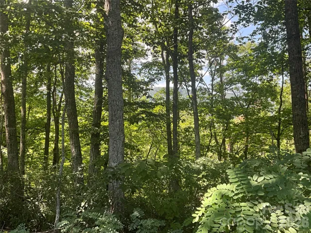 Lot 67 TreeTops Lane, Lake Lure, NC, 28746