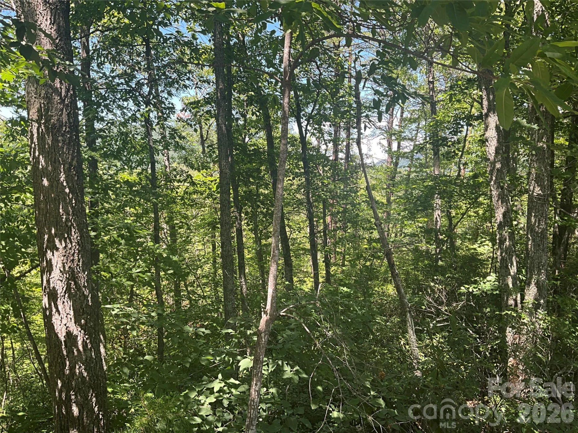Lot 67 TreeTops Lane - Photo 2