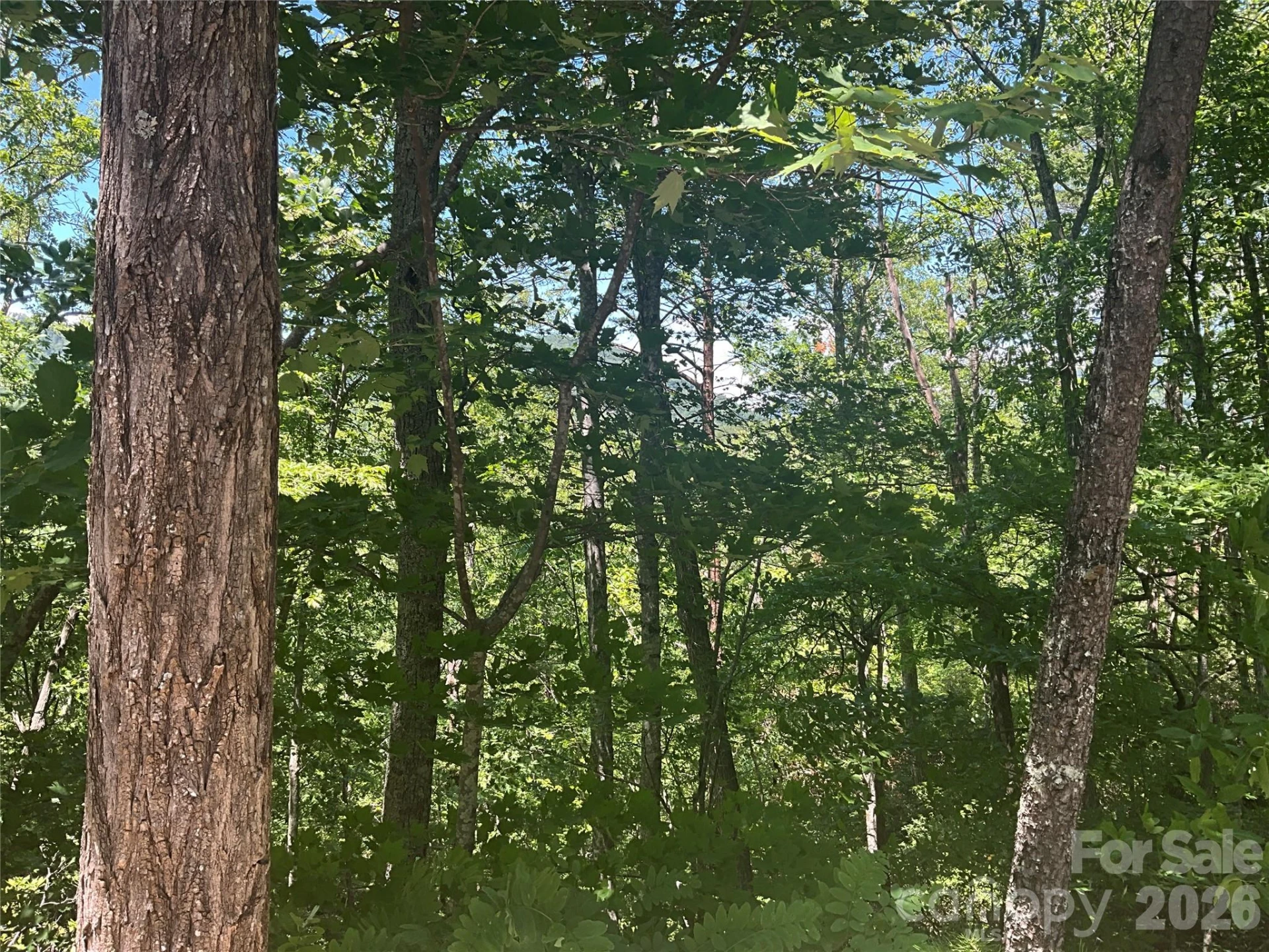 Lot 67 TreeTops Lane - Photo 3