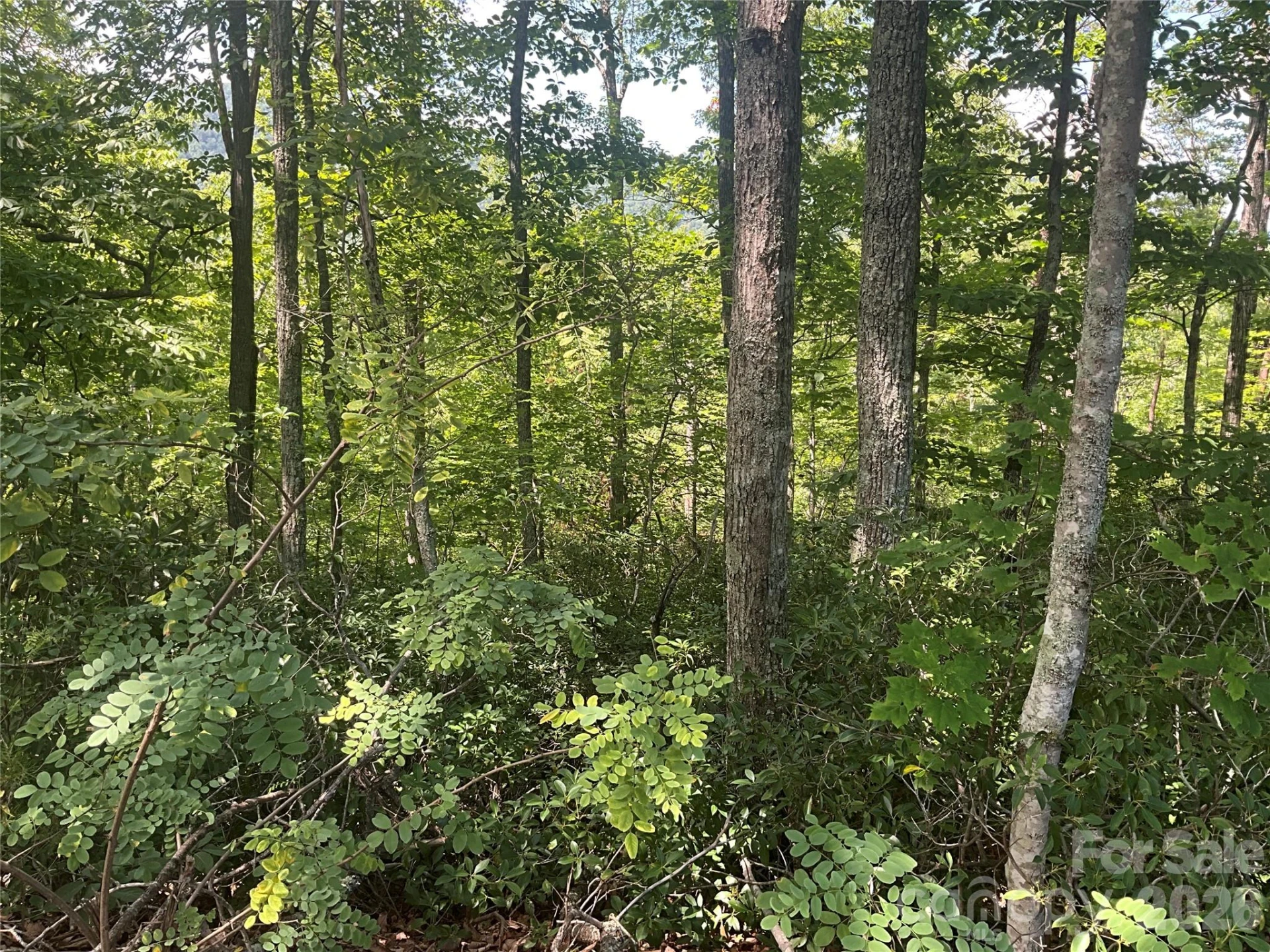 Lot 67 TreeTops Lane - Photo 4