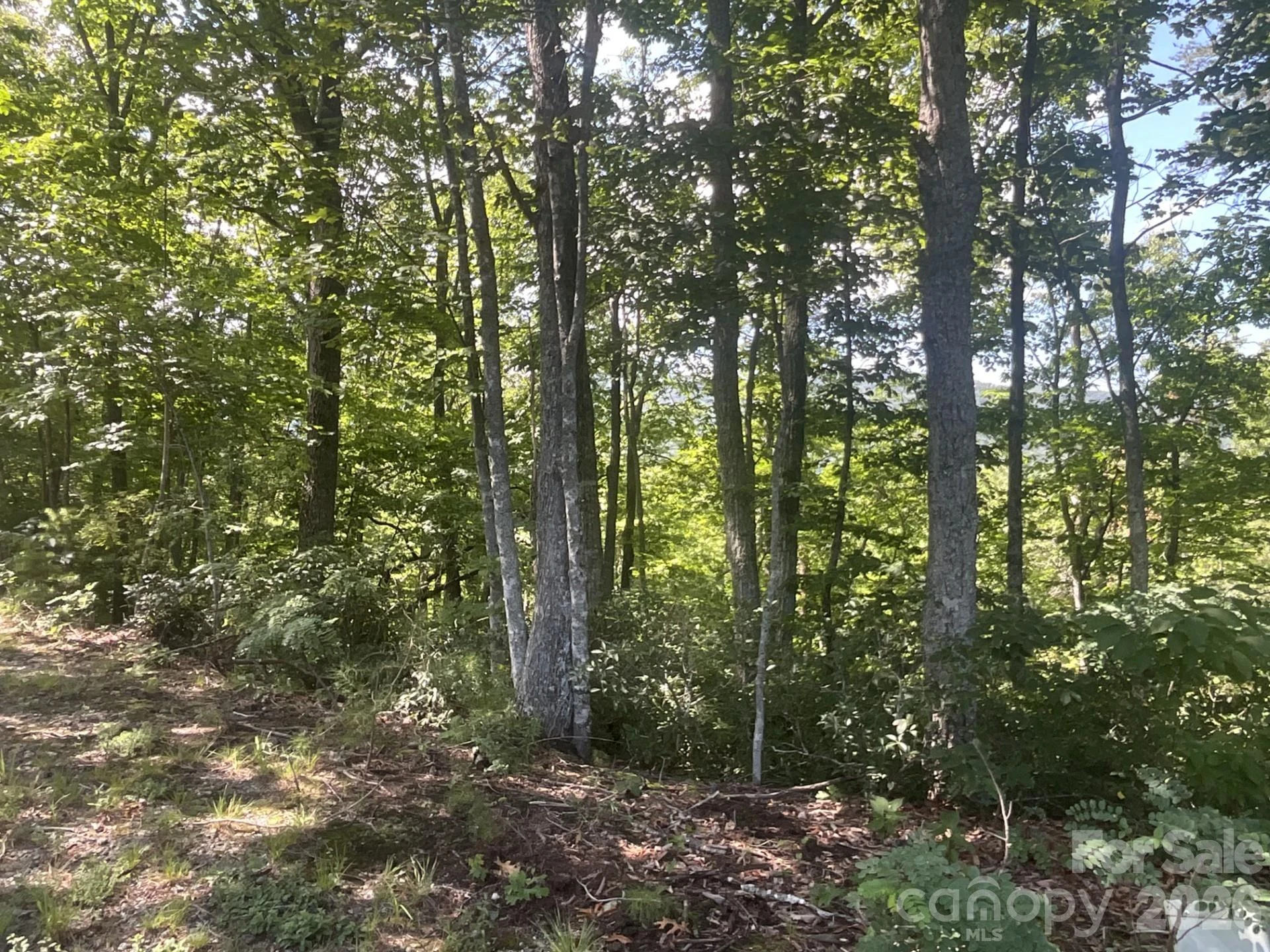 Lot 67 TreeTops Lane - Photo 5
