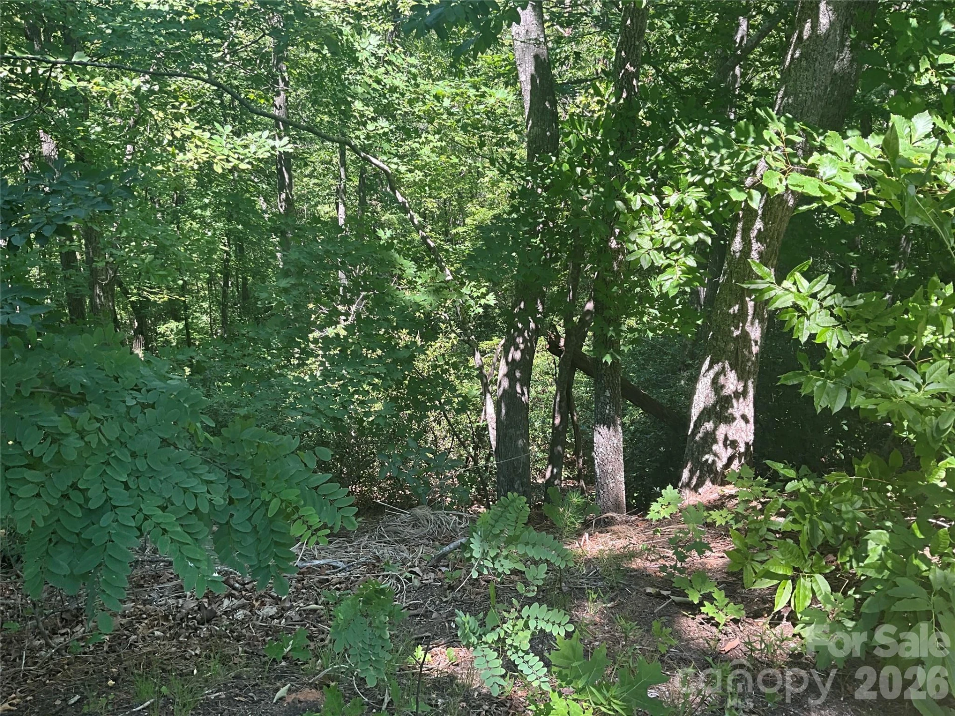 Lot 67 TreeTops Lane - Photo 6