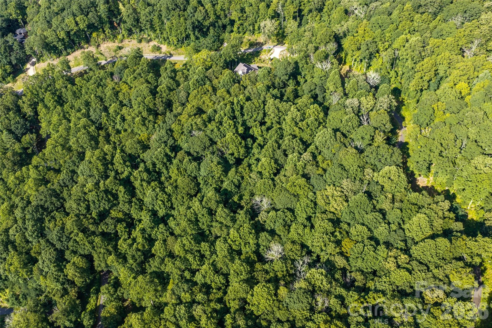 1043 Moss Creek Lane #69 - Photo 11