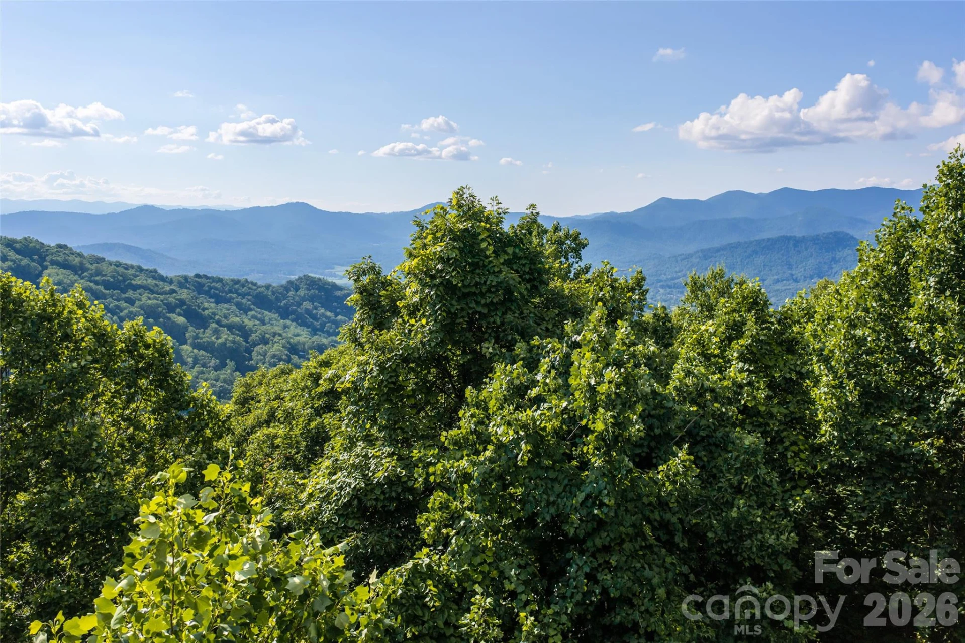 1043 Moss Creek Lane #69 - Photo 3