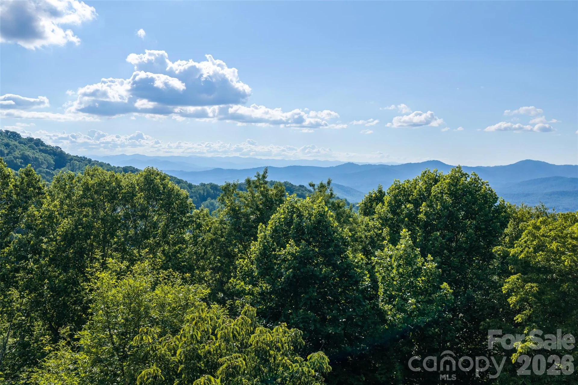 1043 Moss Creek Lane #69 - Photo 4