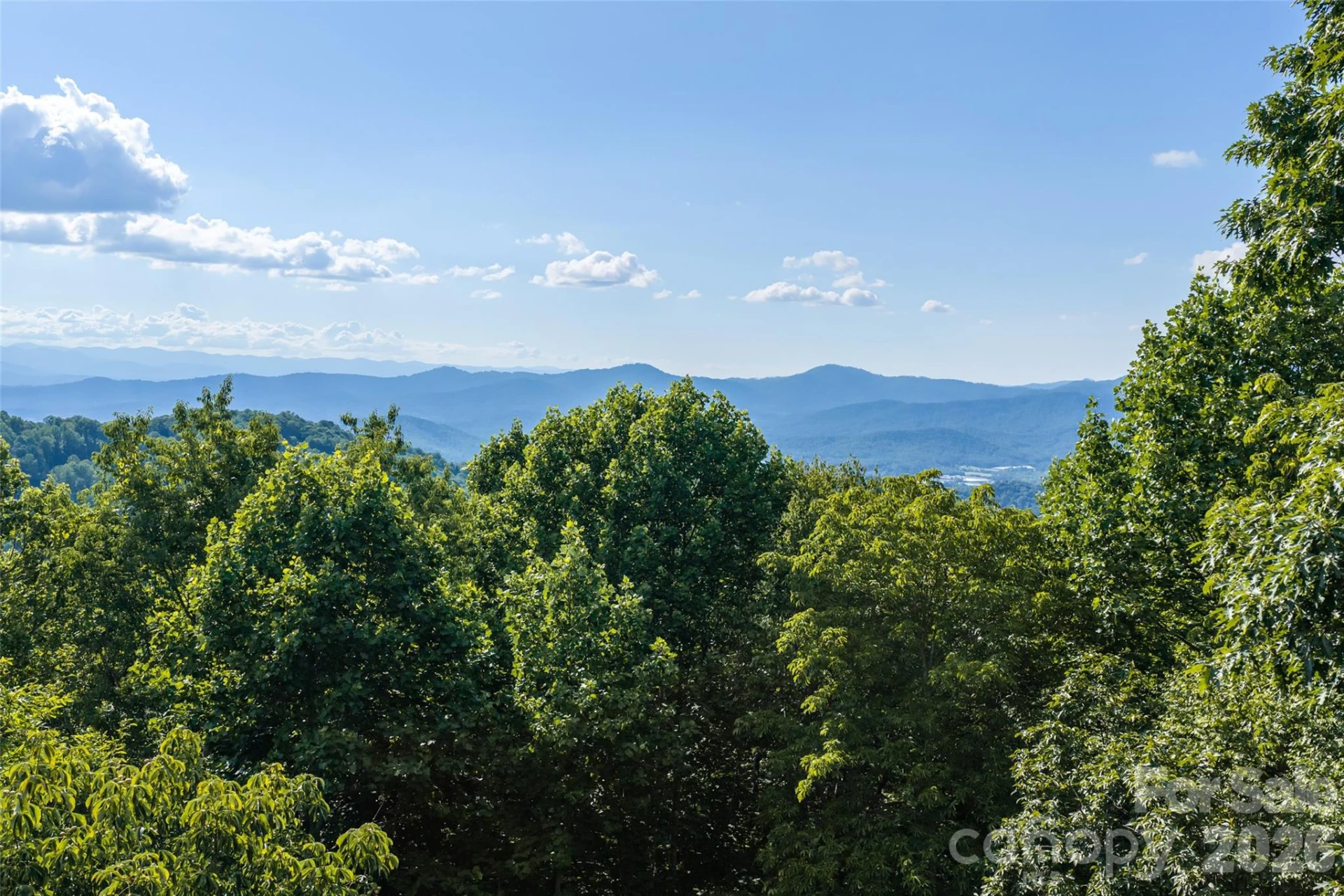 1043 Moss Creek Lane #69 - Photo 5