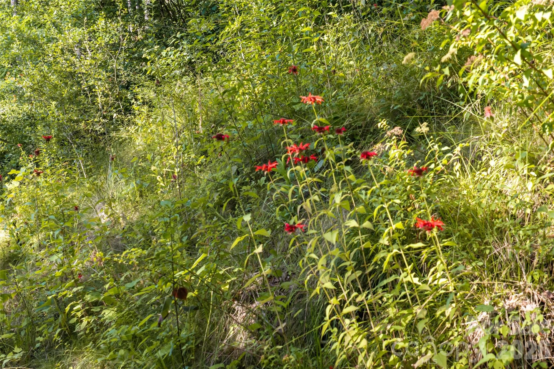 1043 Moss Creek Lane #69 - Photo 7
