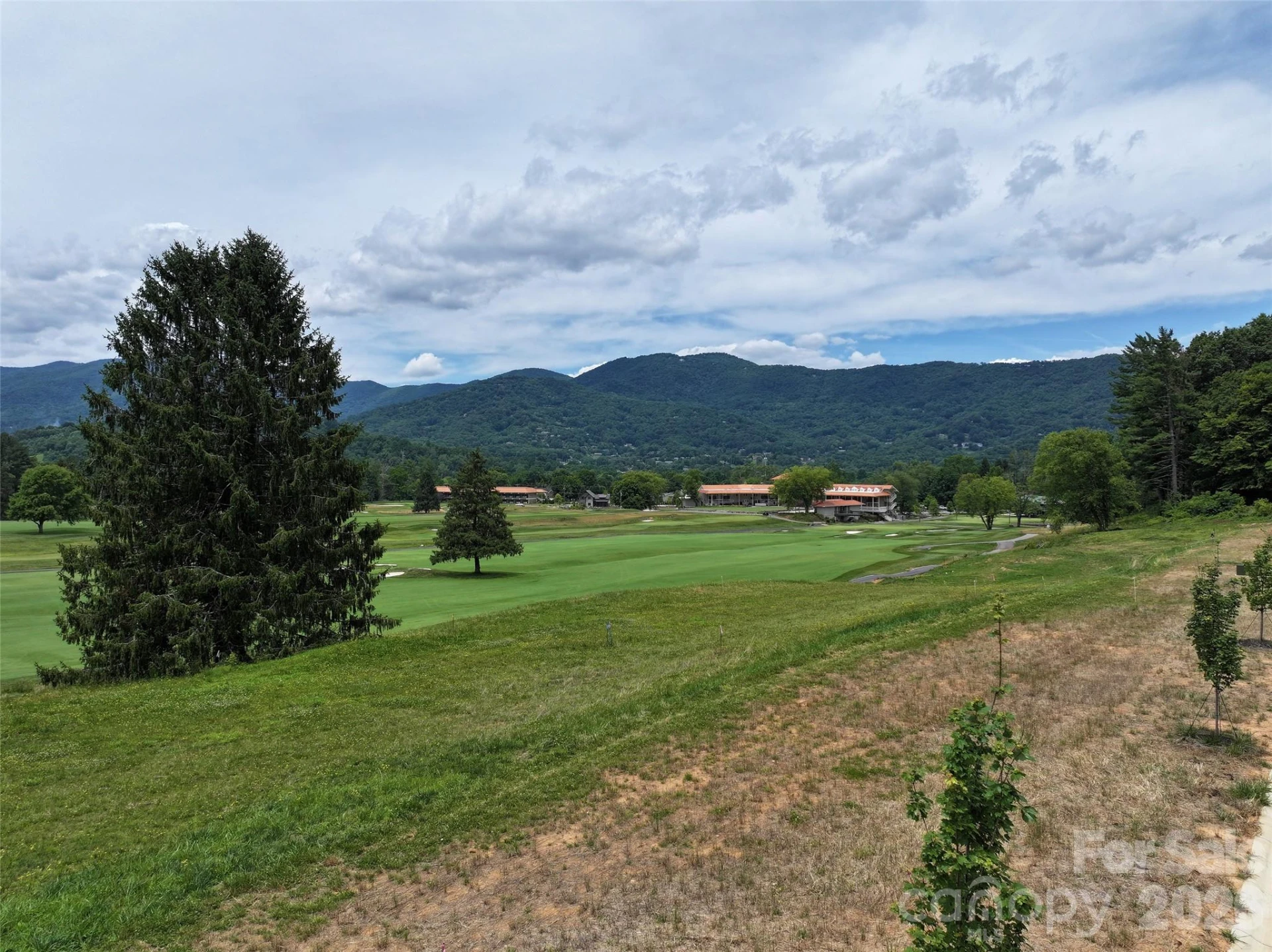 82 Farmer Branch Lane #6 - Photo 13