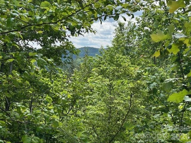 0 Azule Ridge - Photo 11