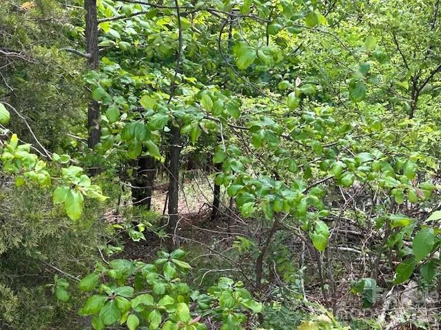 0 Azule Ridge - Photo 12