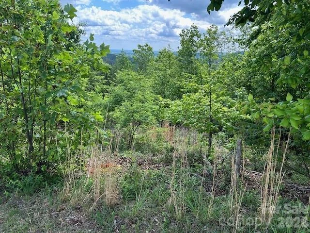 0 Azule Ridge - Photo 13