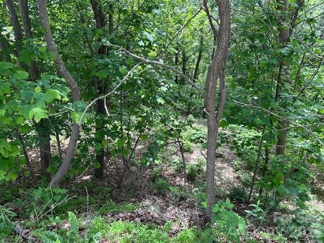 0 Azule Ridge - Photo 14