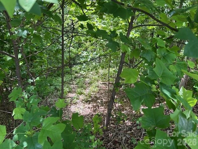 0 Azule Ridge - Photo 15
