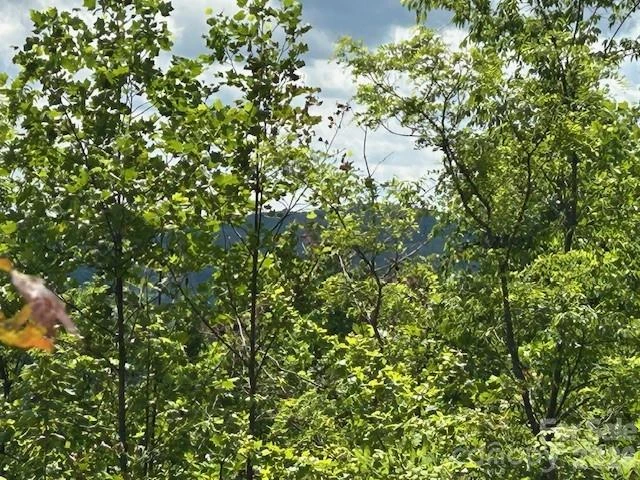 0 Azule Ridge - Photo 16