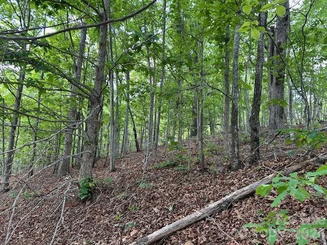 0 Azule Ridge - Photo 8