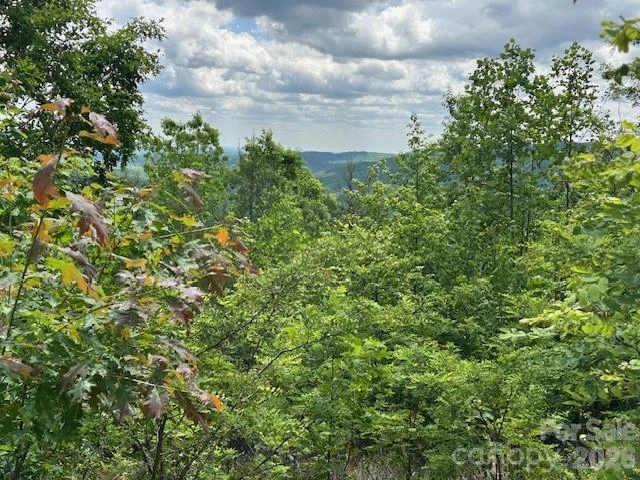 0 Azule Ridge - Photo 9